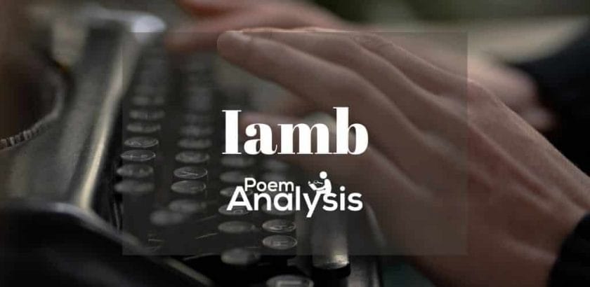 Iamb definition and examples