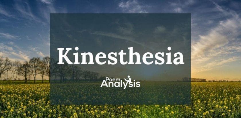 Kinesthesia definition and examples
