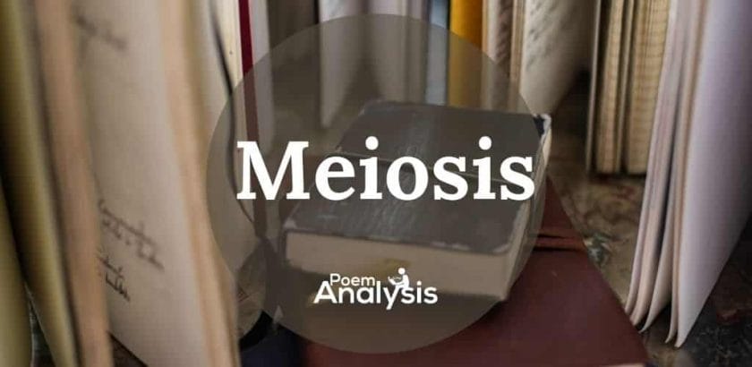 Meiosis definition and examples