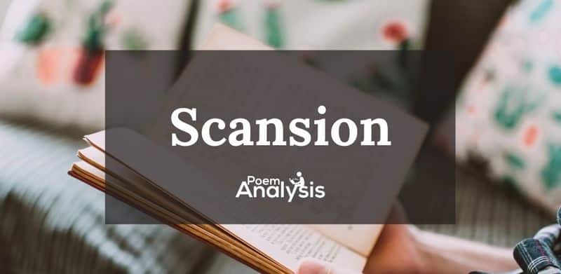 Scansion definition and examples