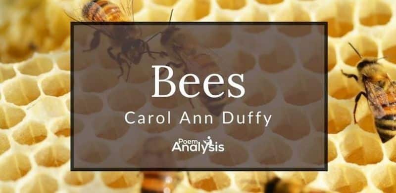 Bees by Carol Ann Duffy