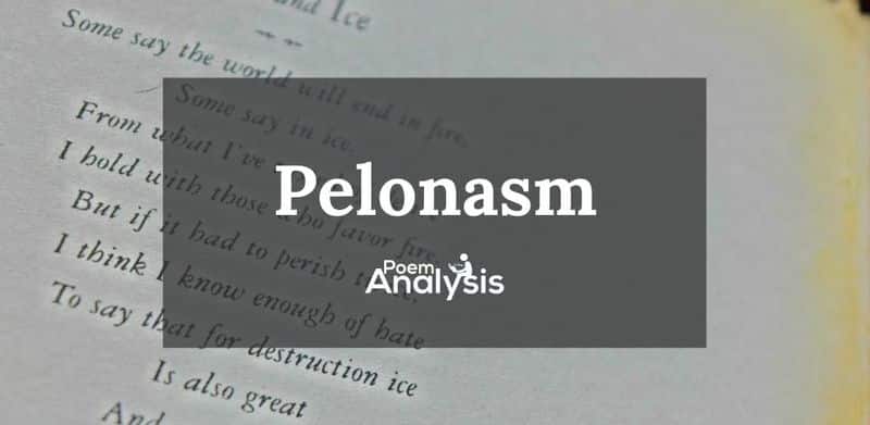 Pleonasm definition and examples