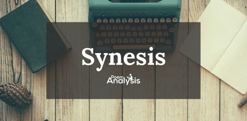 Synesis definition and examples