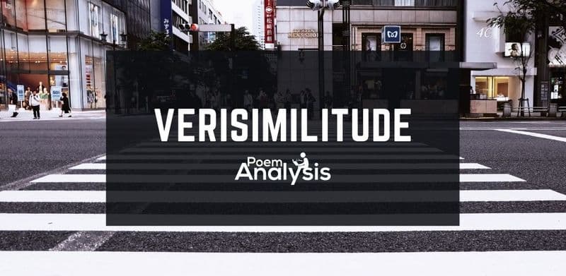 Verisimilitude definition and examples