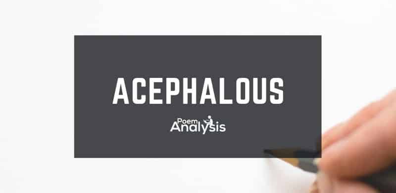 Acephalous definition and examples