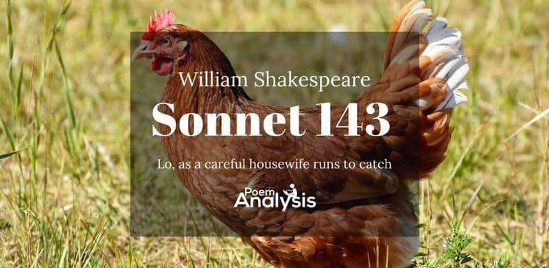 Sonnet 143 by William Shakespeare