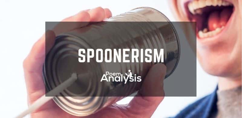 Spoonerism definition and examples