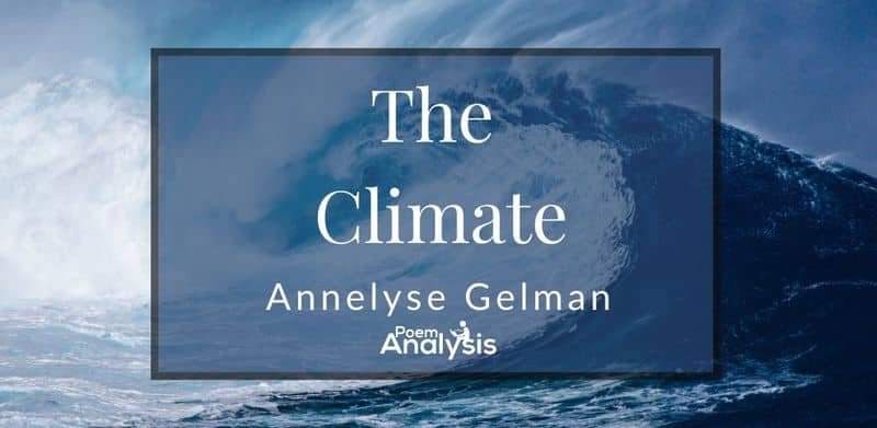 The Climate by Annelyse Gelman