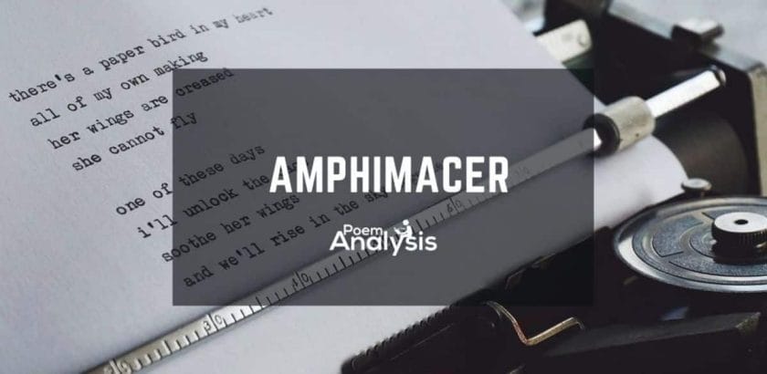 Amphimacer definition and examples