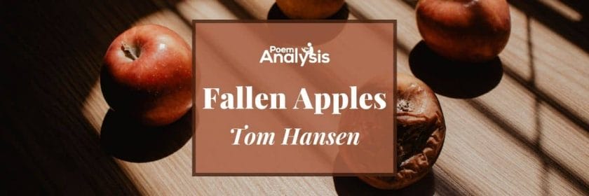 Fallen Apples by Tom Hansen
