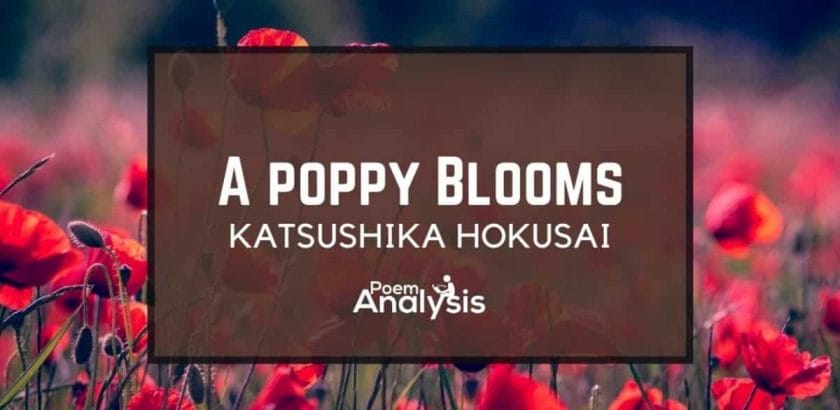 A Poppy Blooms by Katsushika Hokusai