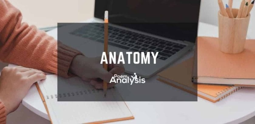 Anatomy definition and examples