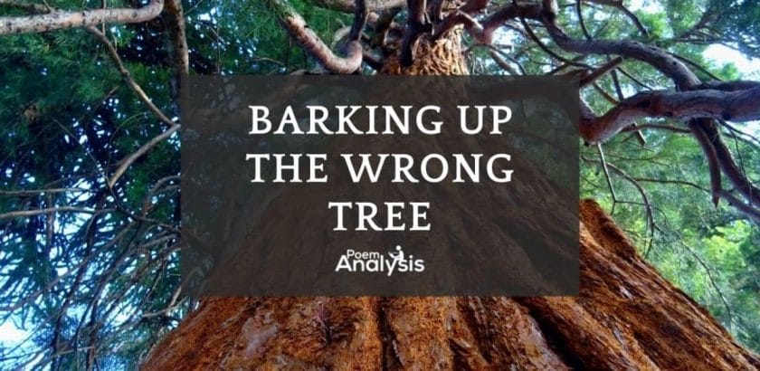 Barking up the wrong tree meaning