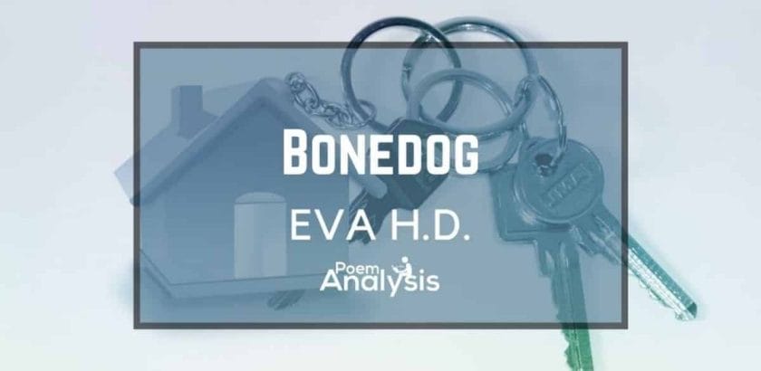 Bonedog by Eva H.D.
