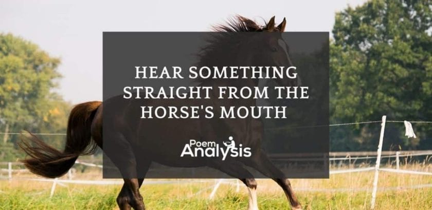 Hear something straight from the horse’s mouth meaning
