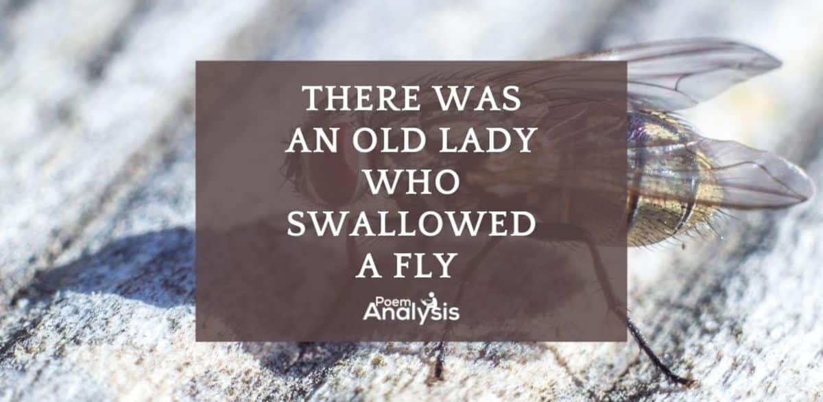 There Was An Old Lady Who Swallowed A Fly Poem Analysis