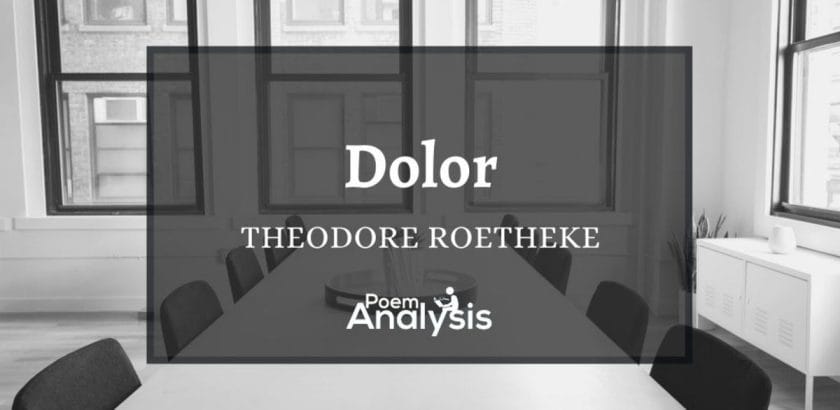 Dolor by Theodore Roethke