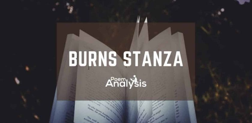 Burns Stanza definition and exampels