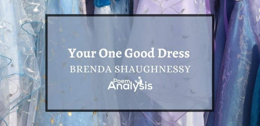 Your One Good Dress by Brenda Shaughnessy