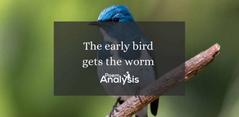 The early bird gets the worm meaning