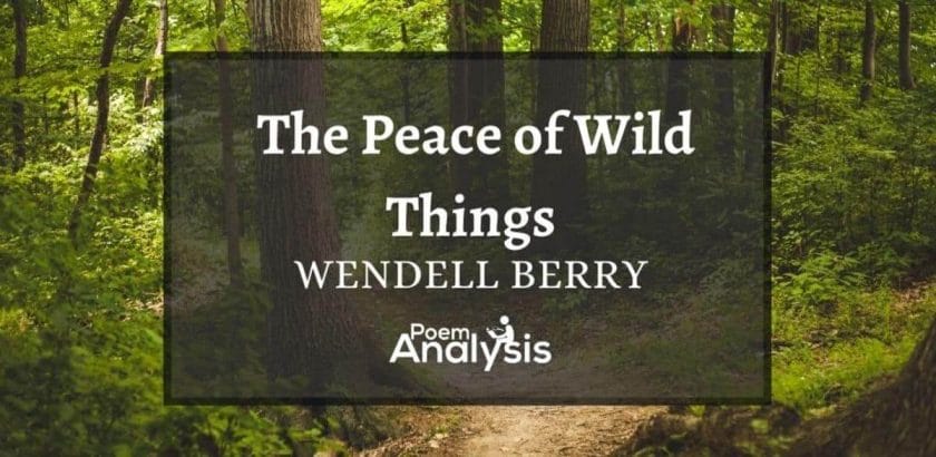 The Peace of Wild Things by Wendell Berry
