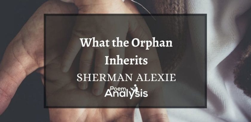 What the Orphan Inherits by Sherman Alexie