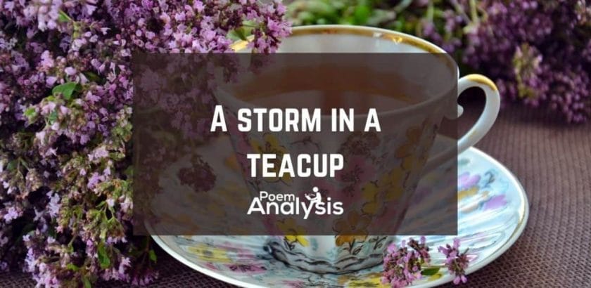 A storm in a teacup meaning