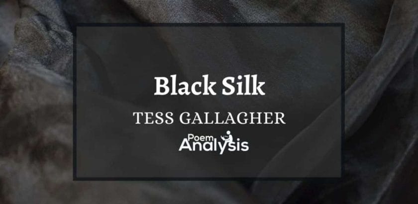 Black Silk by Tess Gallagher