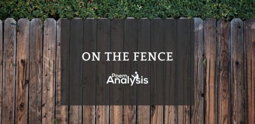 On the fence meaning
