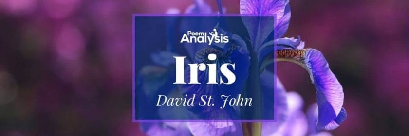 Iris by David St. John