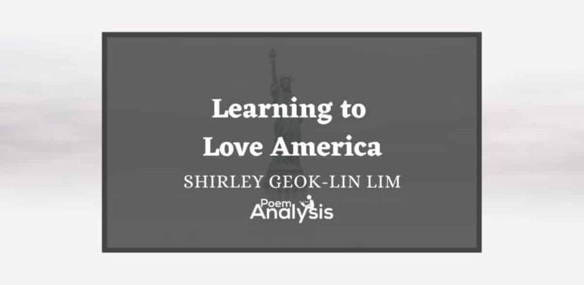 Learning to Love America by Shirley Geok-Lin Lim