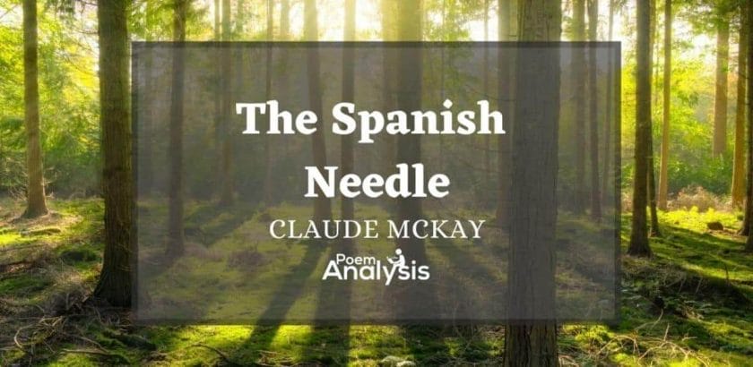The Spanish Needle by Claude McKay