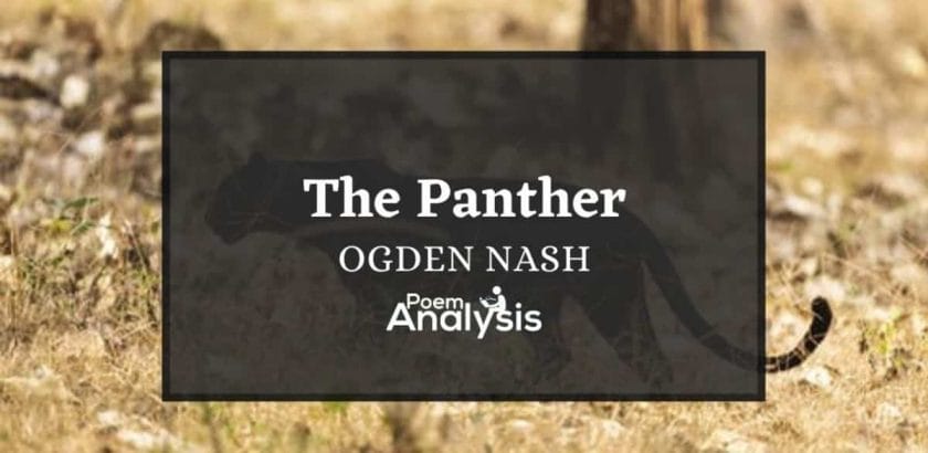 The Panther by Ogden Nash