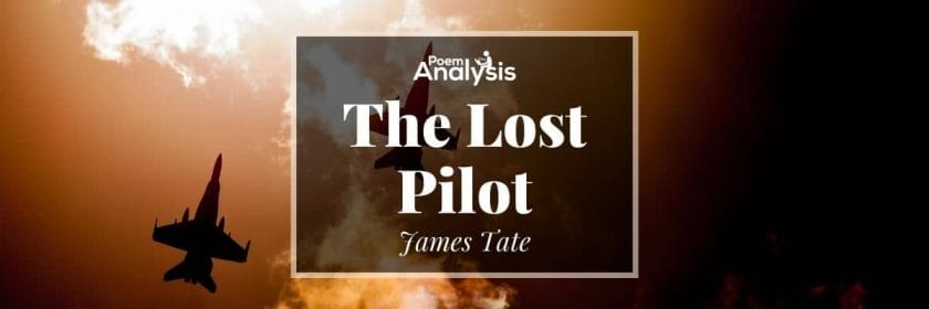 The Lost Pilot by James Tate