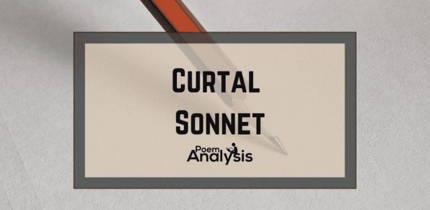 Curtal Sonnet definition and examples