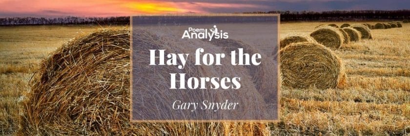Hay for the Horses by Gary Snyder