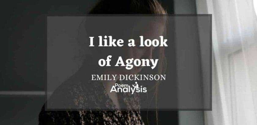 I like a look of Agony by Emily Dickinson
