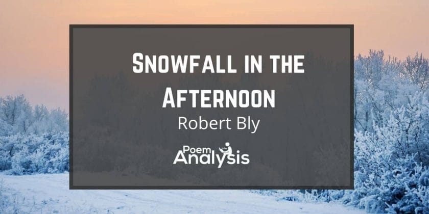 Snowfall in the Afternoon by Robert Bly