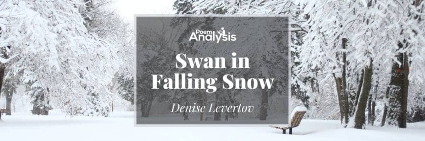 Swan in Falling Snow by Denise Levertov