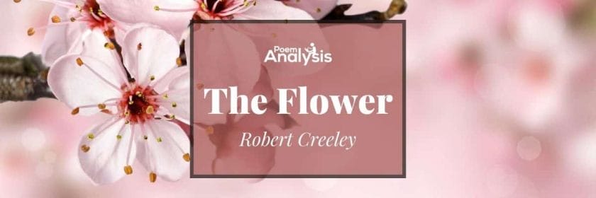The Flower by Robert Creeley