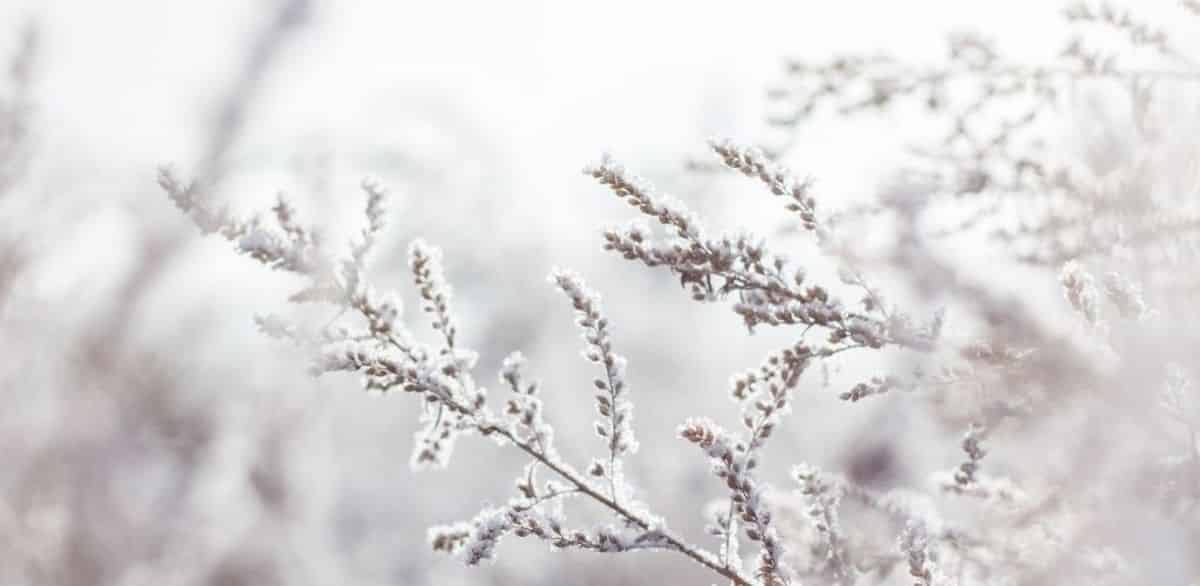 10 of the Best Winter Haiku 