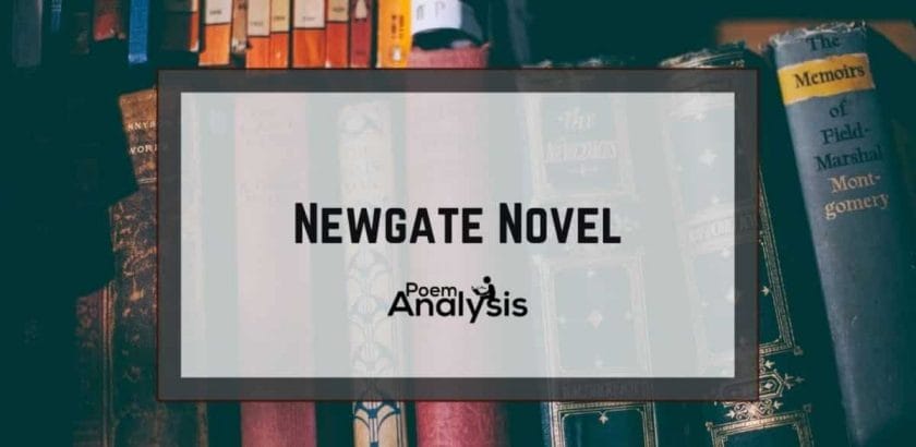 Newgate Novel definition and examples