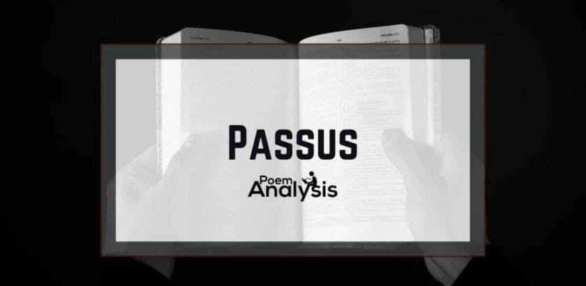 Passus definition and examples