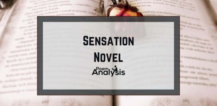 Sensation Novel definition and examples