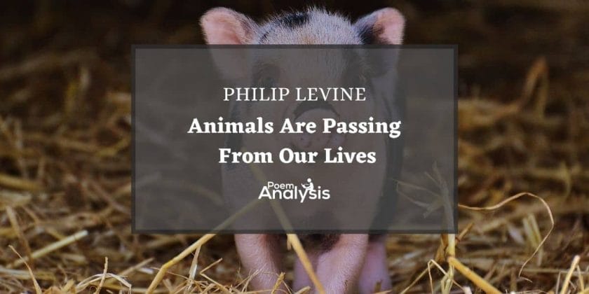 Animals are passing from our lives by Philip Levine