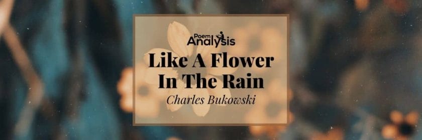 Like A Flower In The Rain by Charles Bukowski