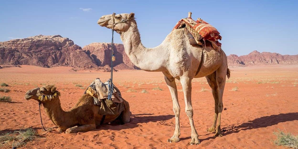 The Camel’s Hump by Rudyard Kipling
