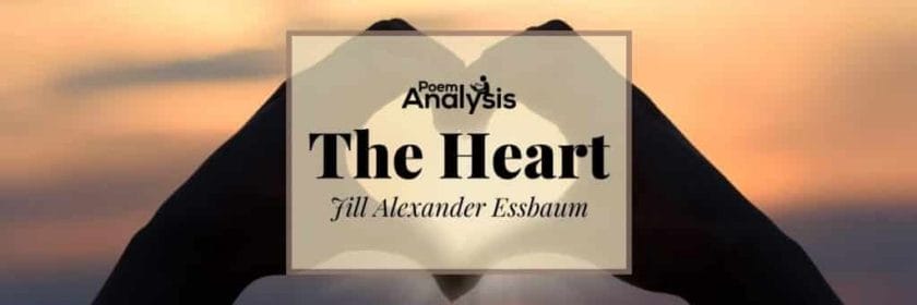 The Heart by Jill Alexander Essbaum