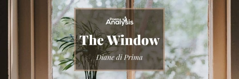 The Window by Diane di Prima