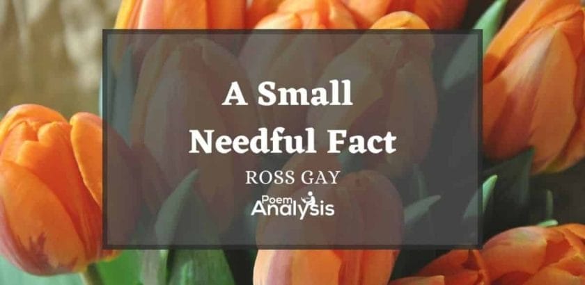 A Small Needful Fact by Ross Gay